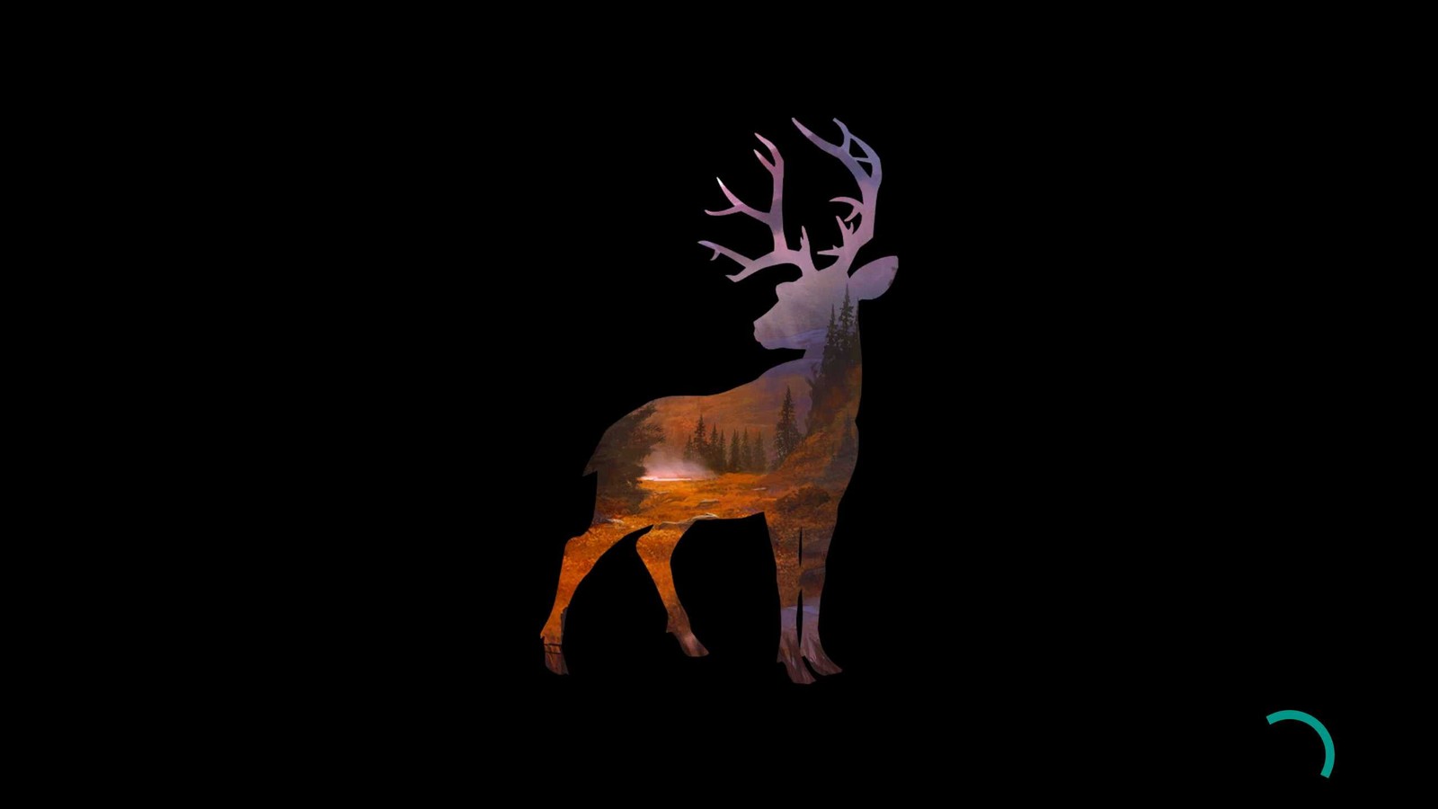 There is a deer that is standing in the dark (deer, hunting)