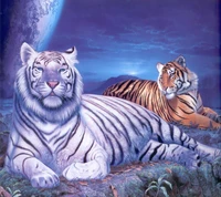 Majestic White and Orange Tigers Under a Starry Night Sky