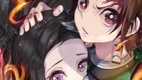 tanjiro kamado, tanjirou, nezuko kamado, demon slayer kimetsu no yaiba, anime wallpaper