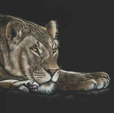 Majestic Lion in Detailed Drawing: A Symbol of Strength and Wildlife