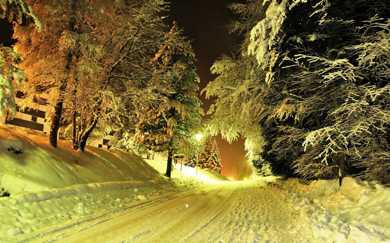 Carretera nevada con árboles y nieve a ambos lados por la noche (nieve, noche, naturaleza, árbol, invierno)