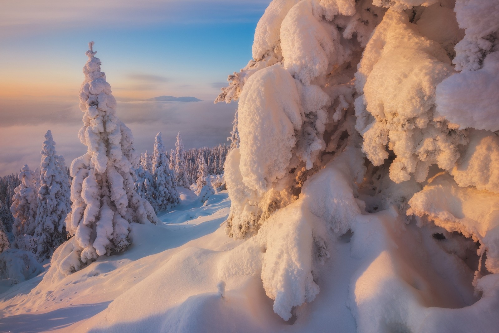 Vista de una montaña nevada con árboles cubiertos de nieve (invierno, nieve, naturaleza, congelación, formación)