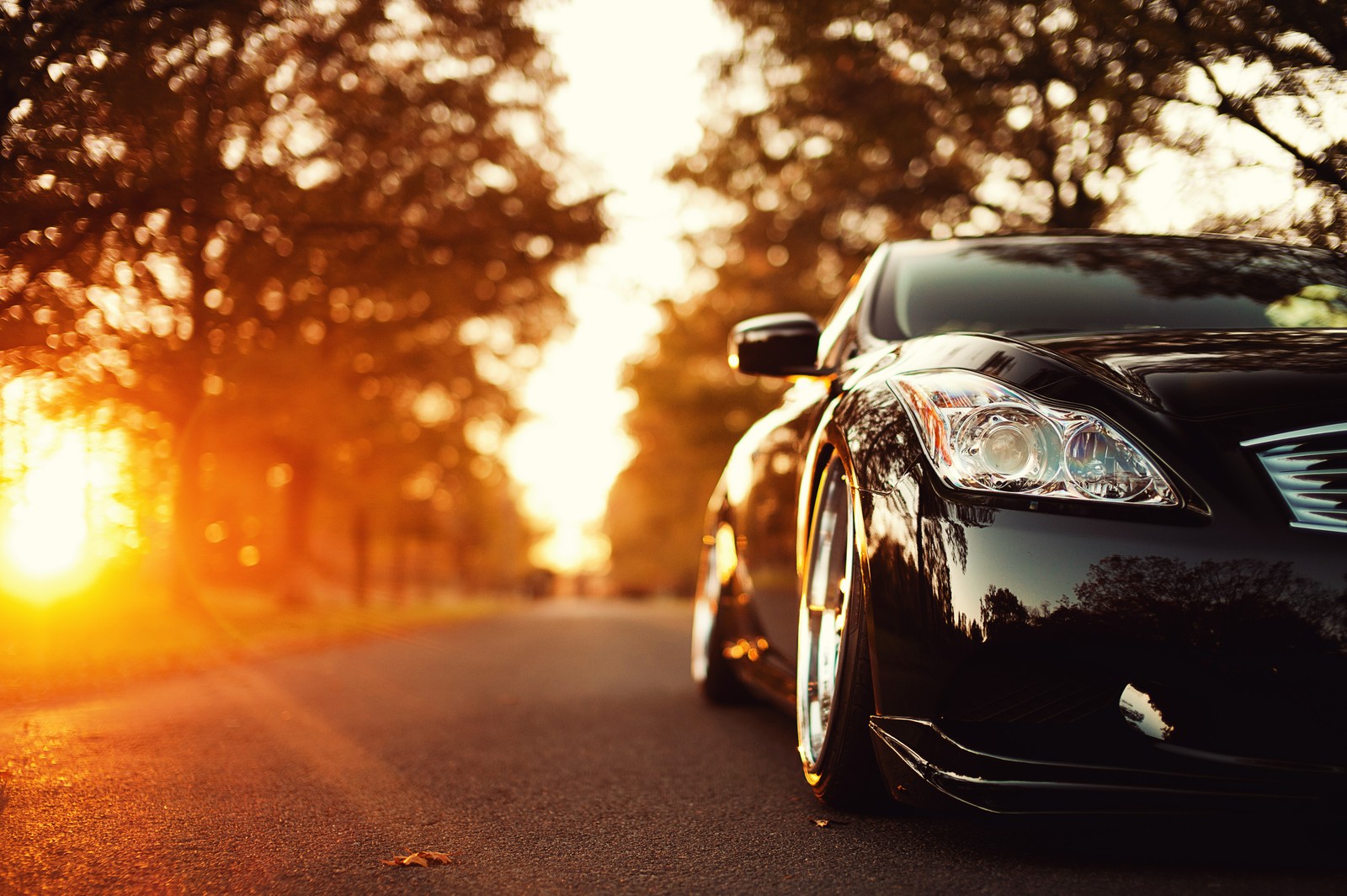 car, infiniti, light, lexus, family car wallpaper