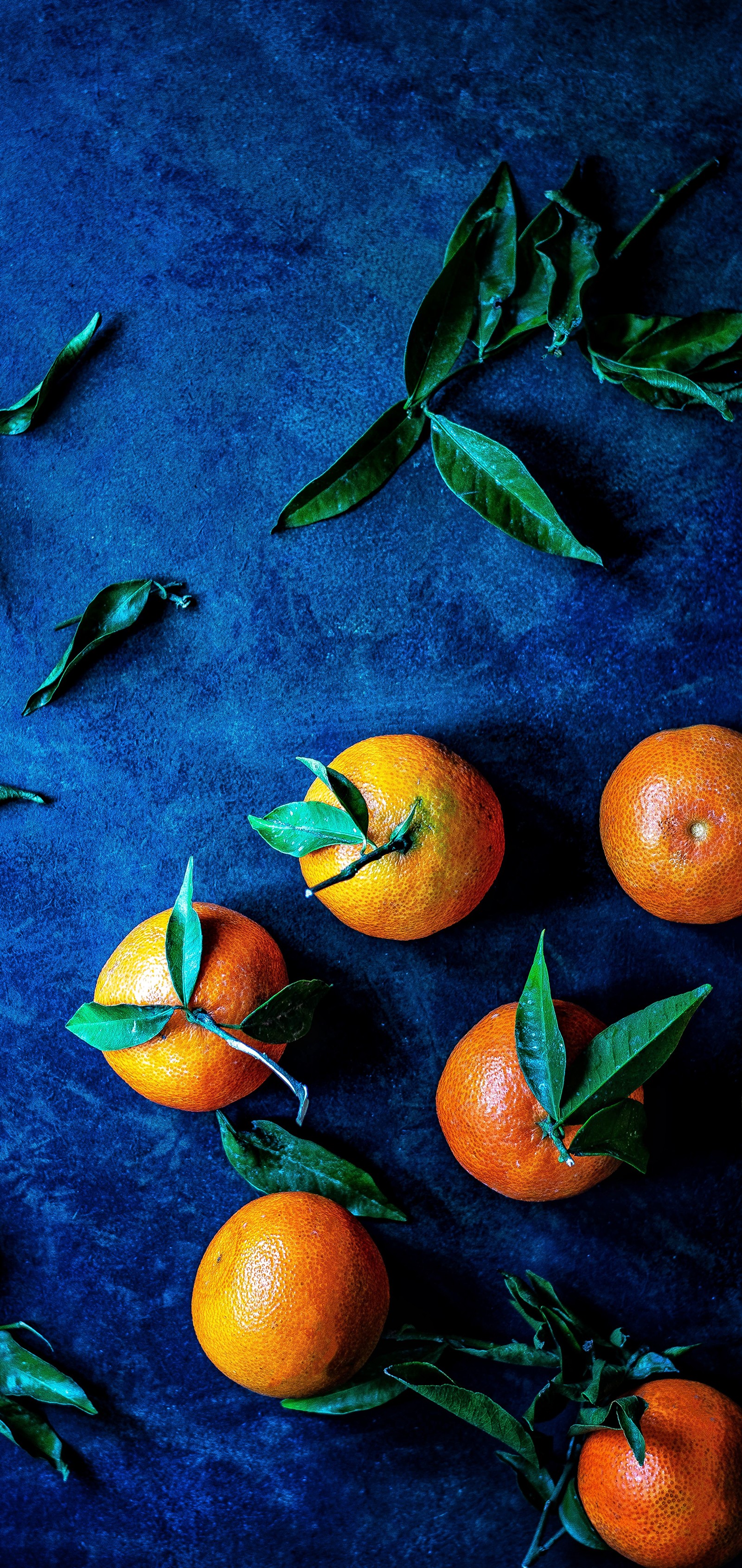 Viele orangen mit blättern auf einer blauen oberfläche (orange, mandarine, frucht, clementine, erdbeere)