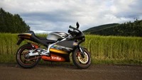 Aprilia RS125 garée à côté d'un champ verdoyant sous un ciel dramatique, mettant en valeur son design élégant et ses couleurs vives.