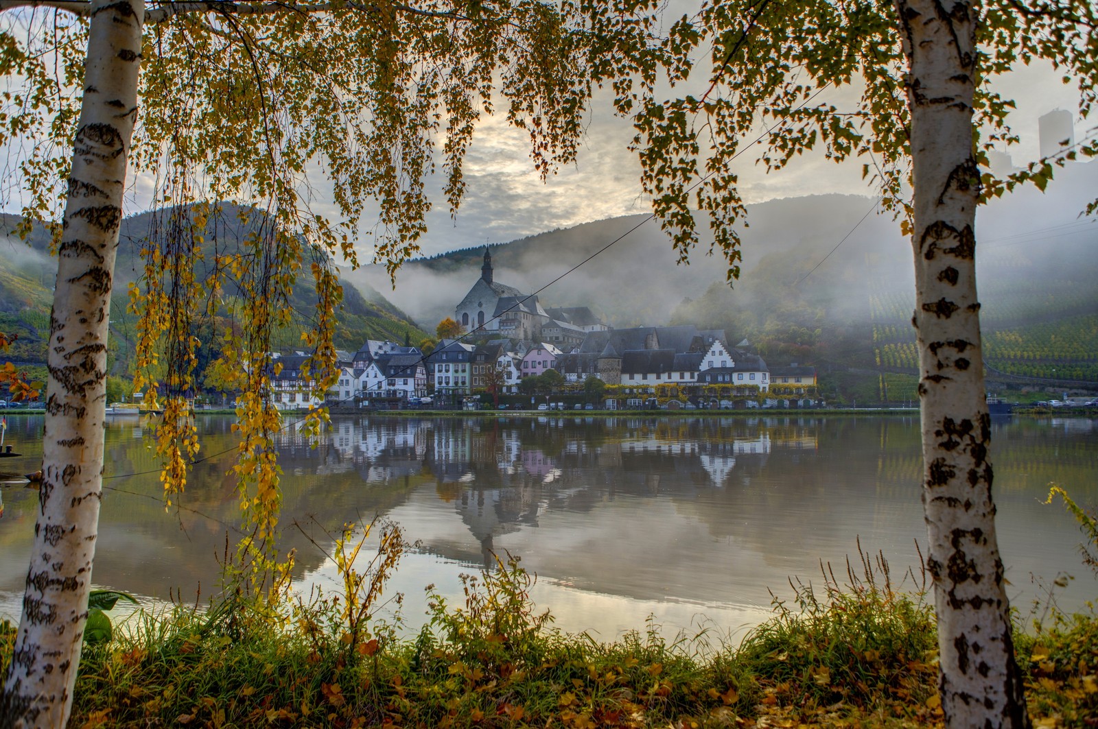 Trees are in front of a lake with a small village in the background (birch, tree, reflection, nature, water)