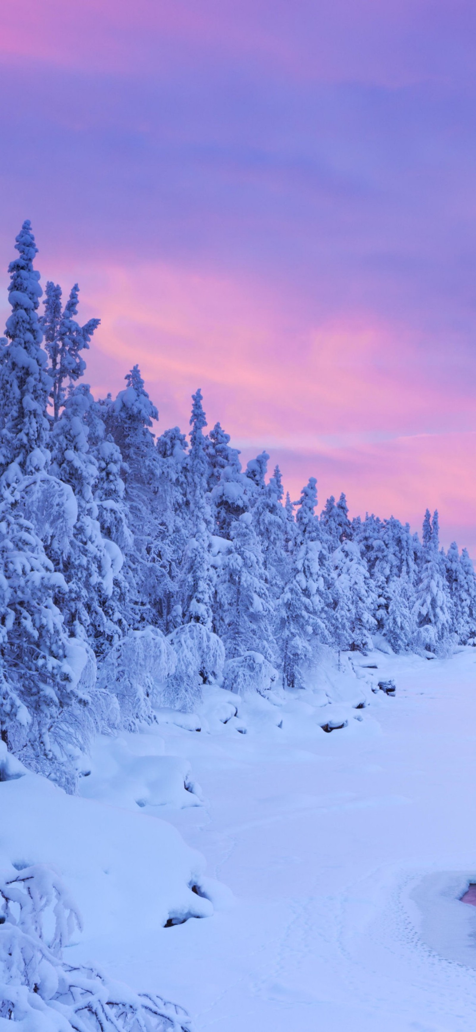 sunset, winter, nature, lapland, cloud wallpaper