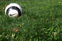 Bola de futebol descansando em grama exuberante