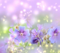 flowers, spring wallpaper