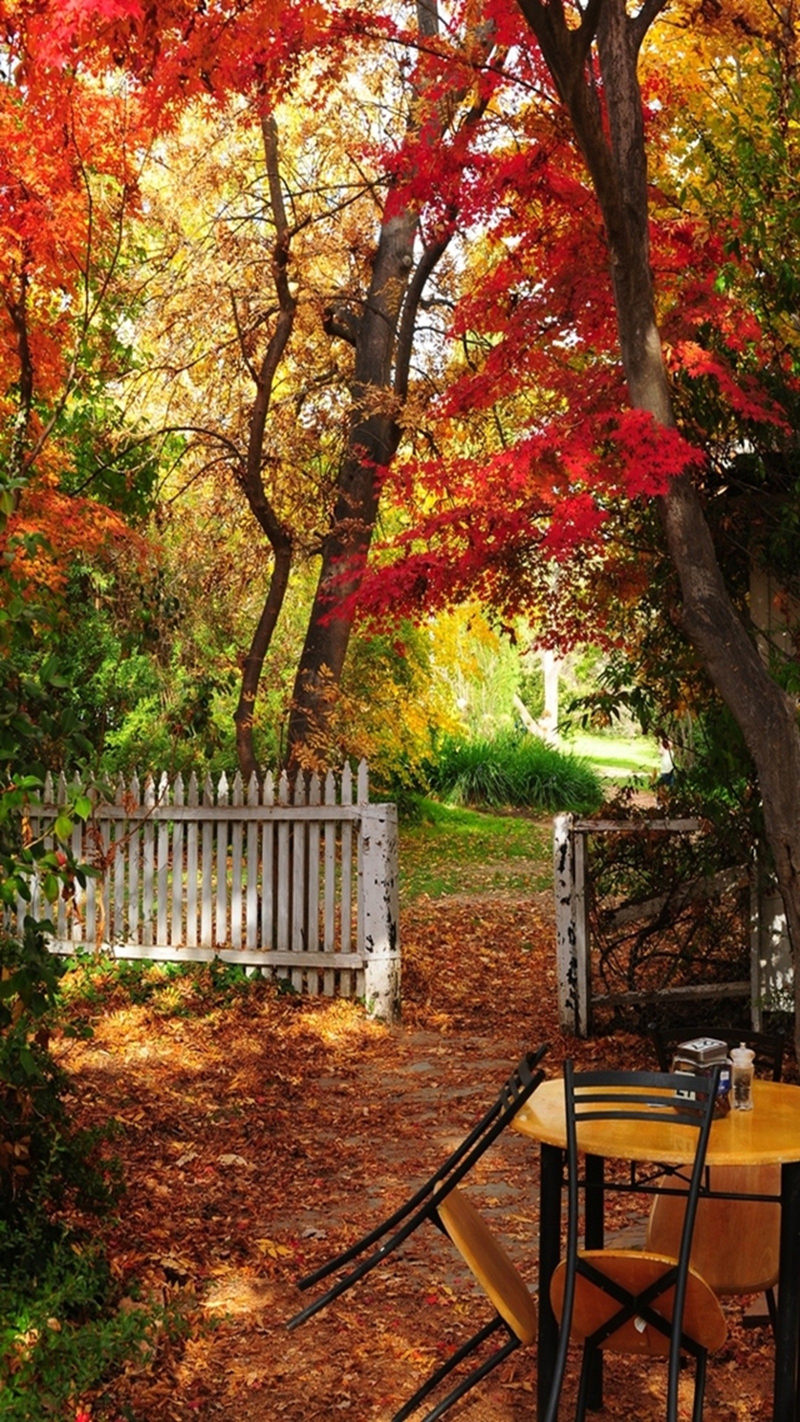 Téléchargez le fond d'écran automne, paysage