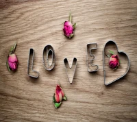 bud, love, roses, wood wallpaper