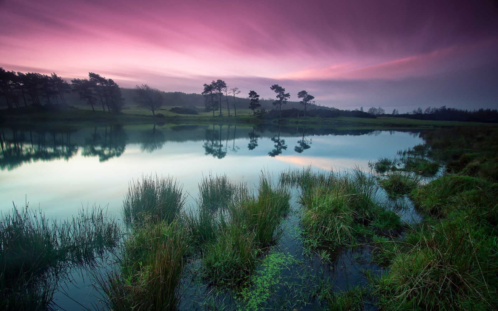 Une vue d'un lac avec de l'herbe et des arbres en arrière-plan (nature, réflexion, eau, lac, atmosphère)