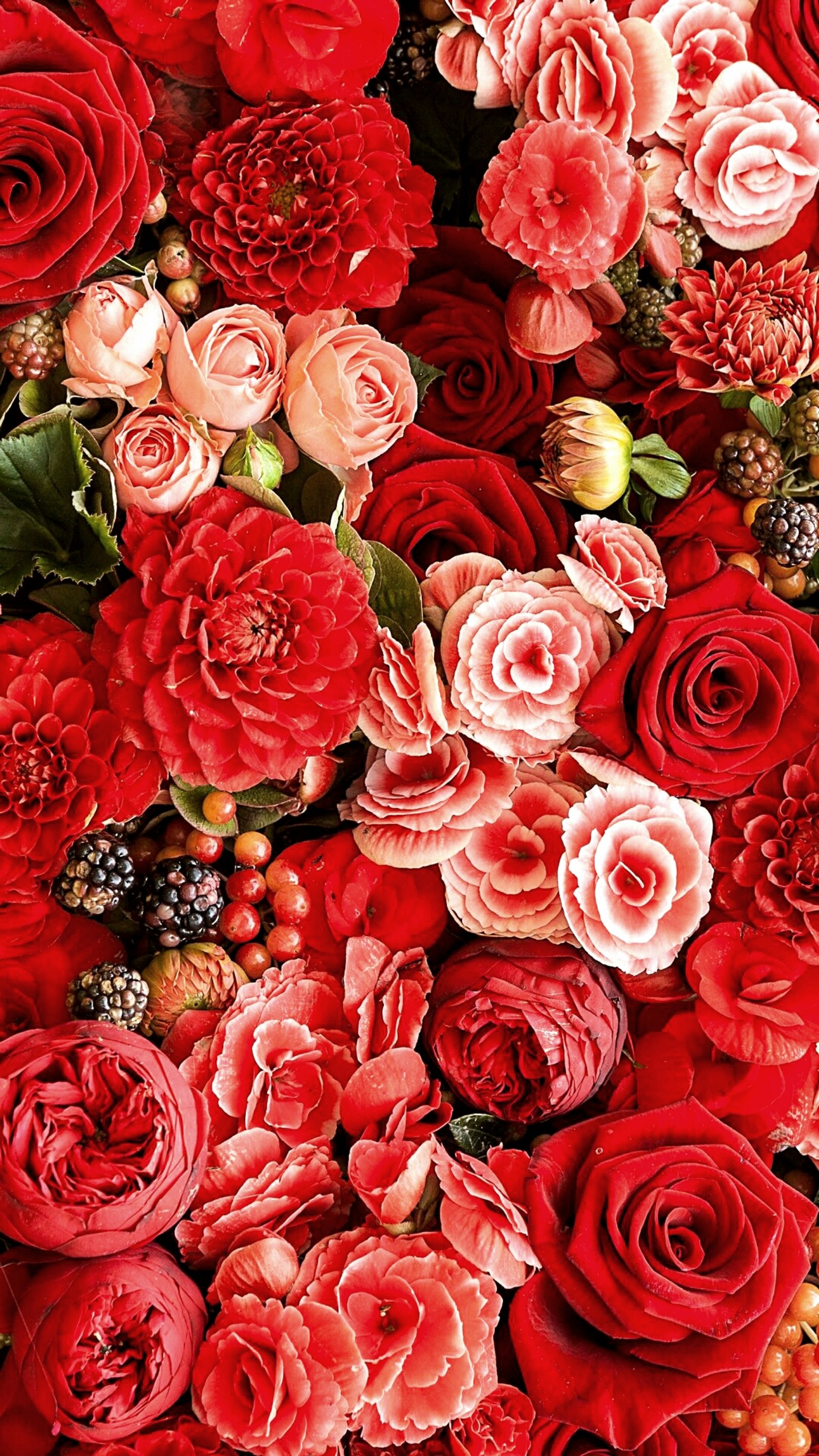 Un grand bouquet de fleurs rouges et roses avec des baies (fleur, amour, nature, rose, rouge)