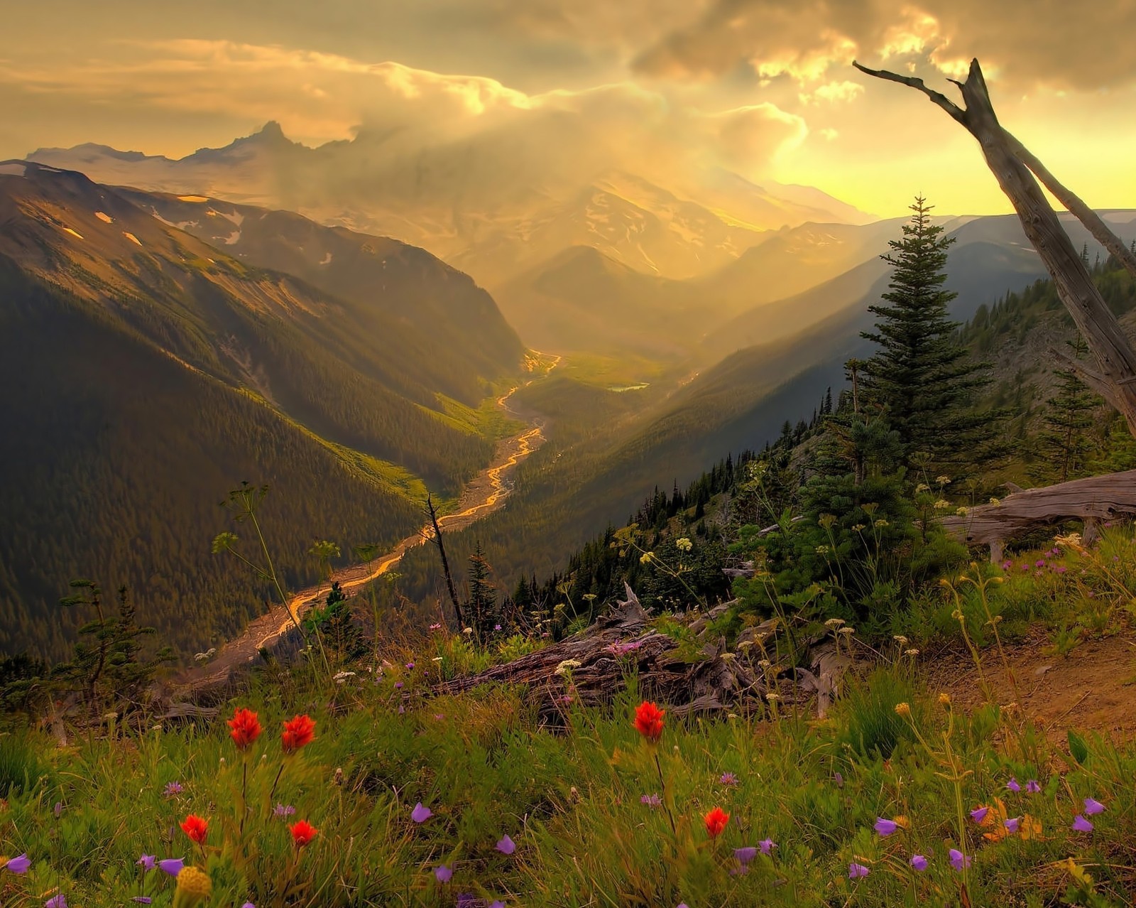 Montanhas com um vale e um rio ao longe (fieldflowers, montanha, flúmen, por do sol)