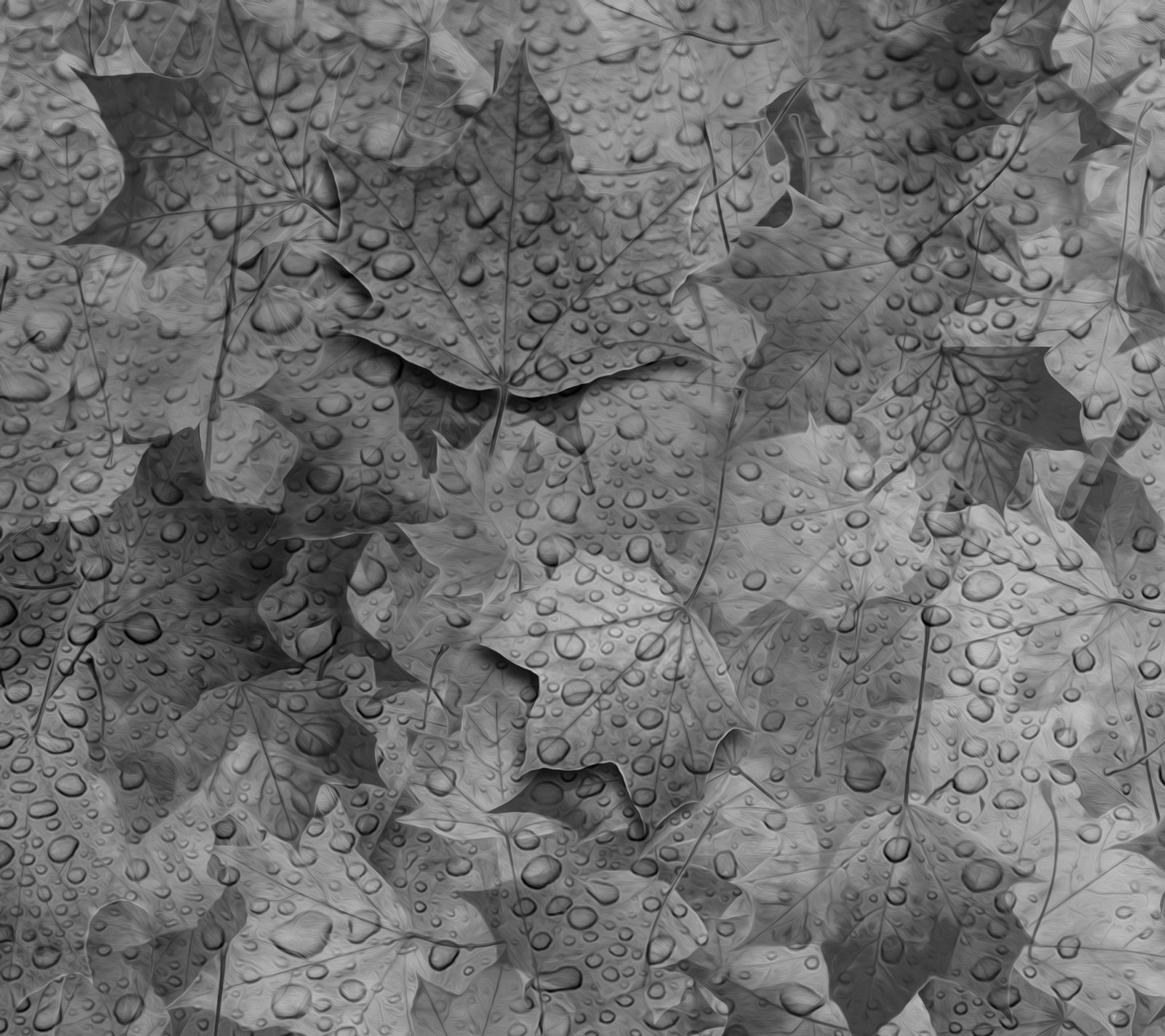 A black and white photo of a bunch of leaves covered in water (drops, dry, leaves)