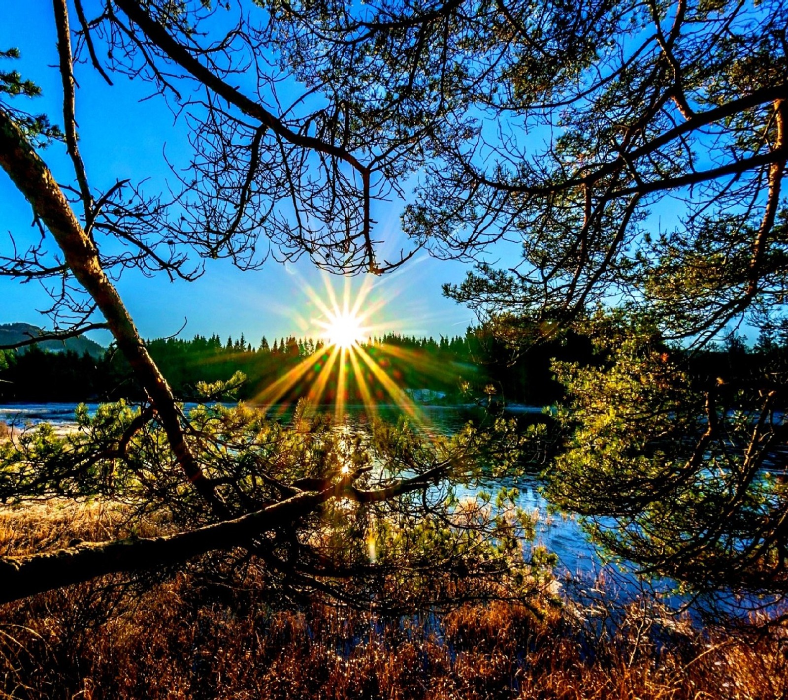 Vue d'un lac avec le soleil brillant à travers les arbres (matin)