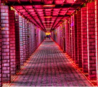 Vibrant Pathway Through Architectural Columns