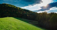 Sonnige Hochlandwiese unter einem bewölkten Himmel