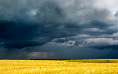 nuvem, campo, pradaria, natureza, planície