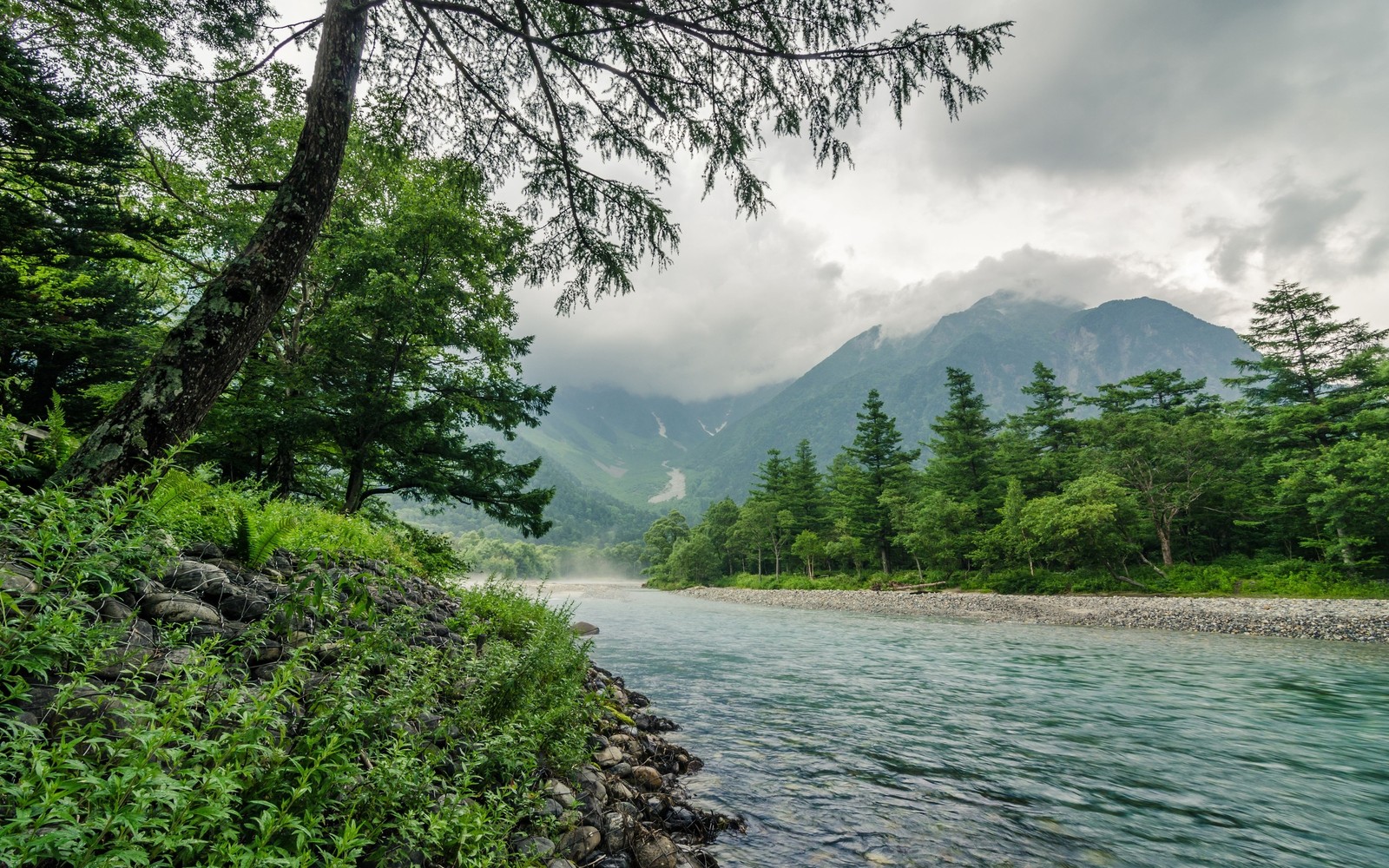 Uma vista de um rio com uma montanha ao fundo (natureza, reserva natural, montanha, vegetação, flúmen)