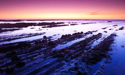 reserva marinha fitzgerald, fitzgerald marine reserve, califórnia, california, eua