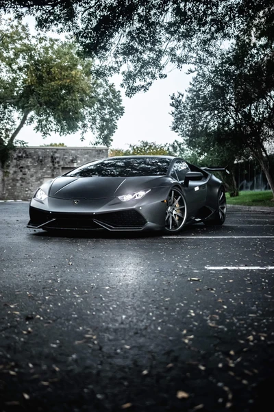 Eleganter mattschwarzer Lamborghini Huracan in einer malerischen Freiluftumgebung