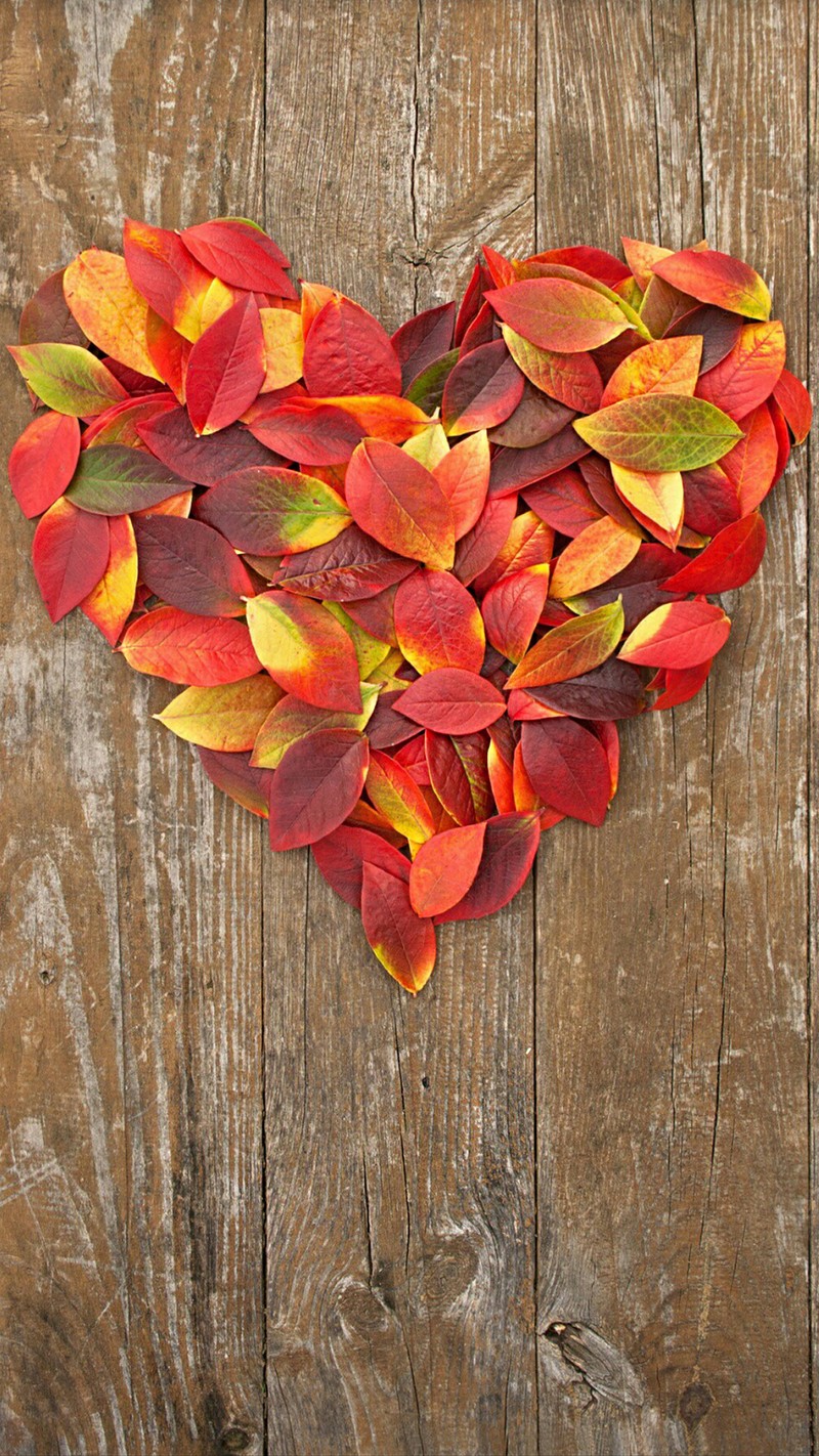 Arafed heart made of leaves on a wooden surface (heart, leaves, nature, shape, wood)