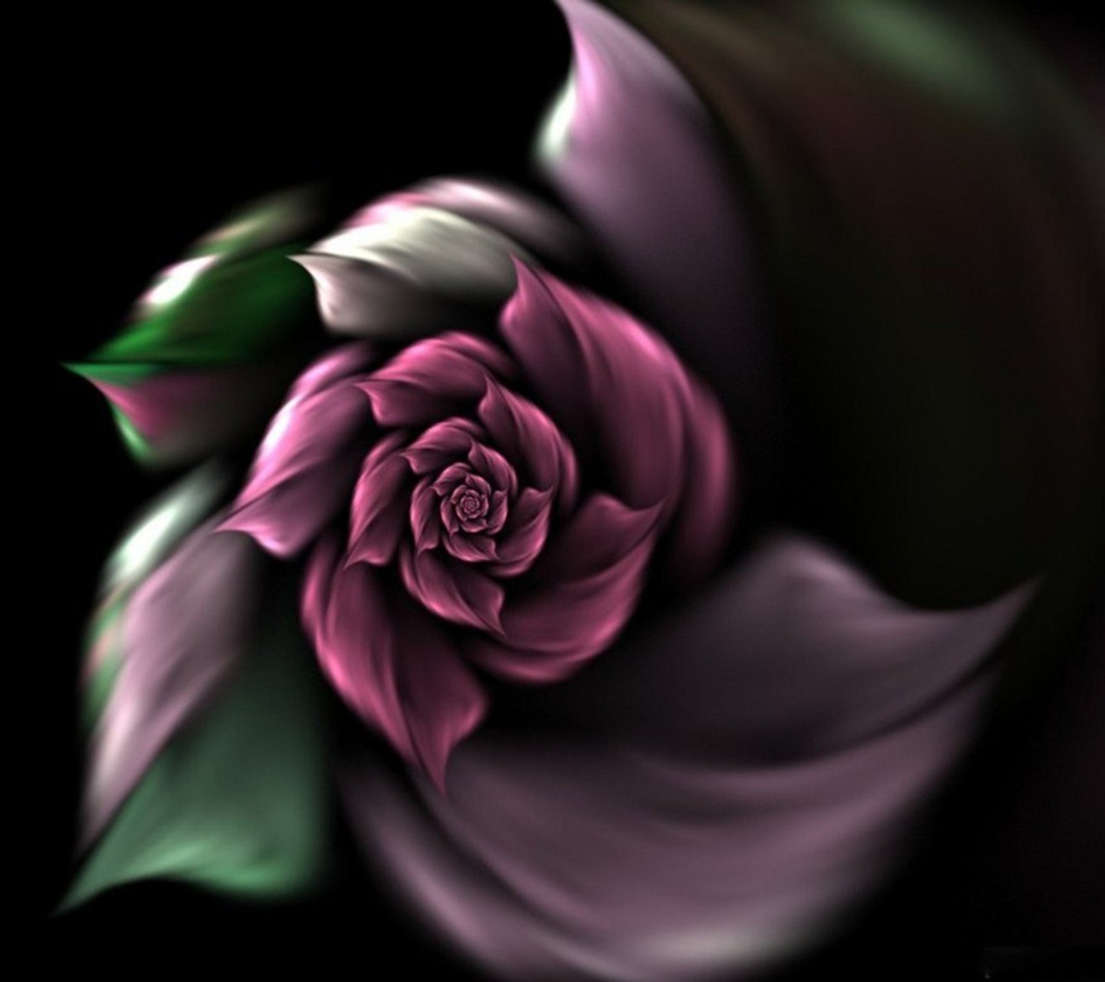 A close up of a purple flower with green leaves on a black background (drawing, flower, green, leaves, nature)