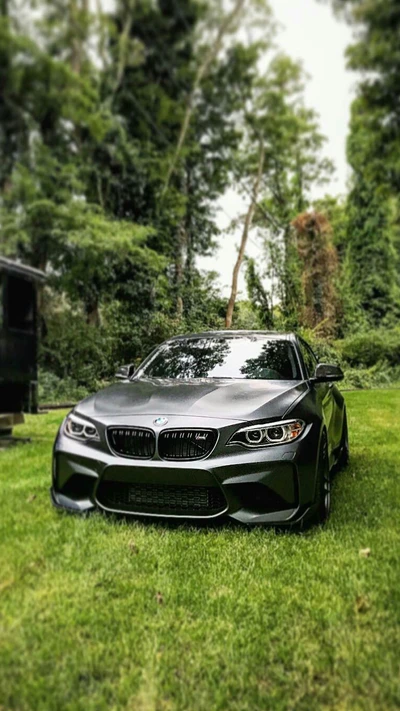 bmw, coche, coupé, gris, m2