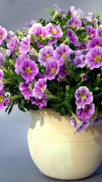 Fleurs printanières vibrantes dans un pot en poterie rustique