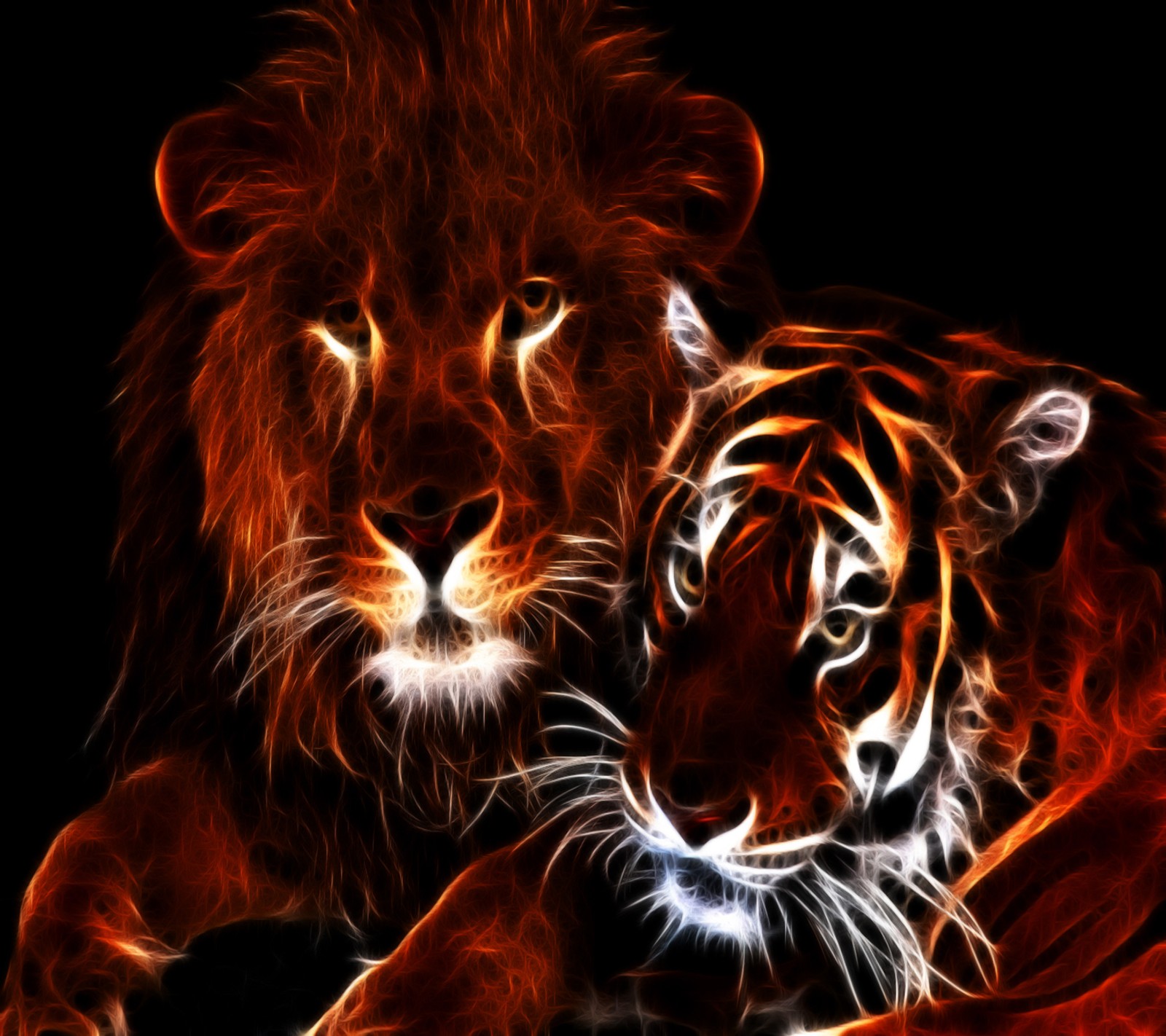 Download wallpaper, wild cats for free