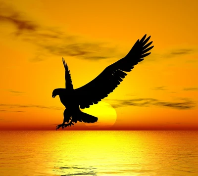 Eagle in Flight Against a Sunset Sky