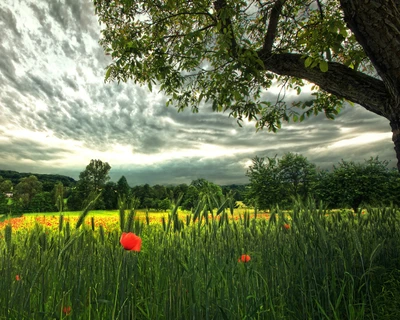 Vibrant Valley Under a Dramatic Sky