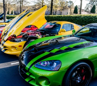 Dodge Vipers vibrantes : Une vitrine de puissance V10 noire, verte et jaune