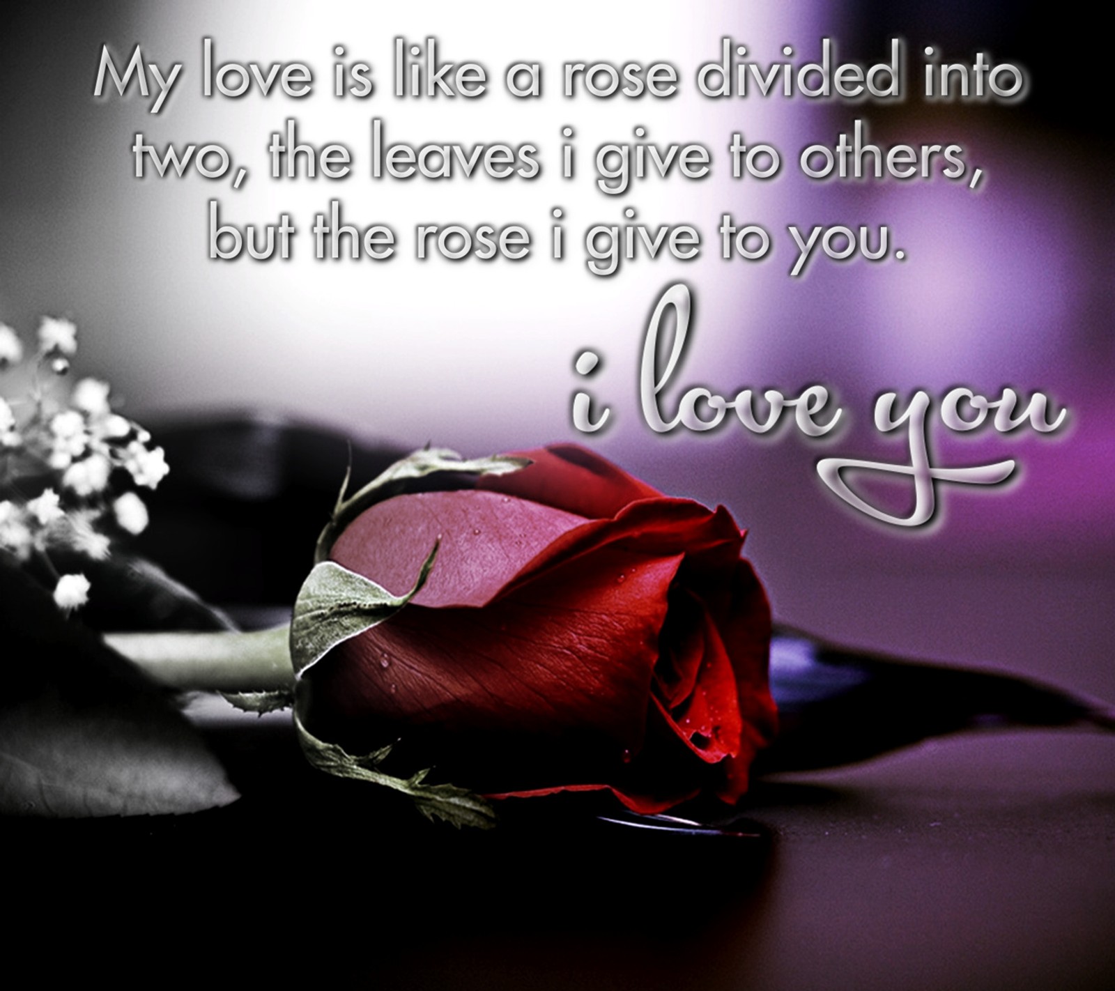 There is a rose that is sitting on a table with a quote (love, sayings)