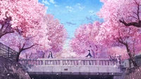 anime, couple, cherry blossom, scenery wallpaper