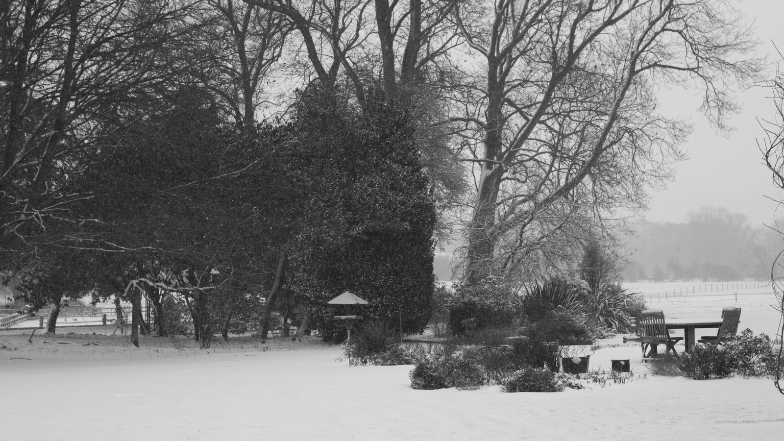 Ein schwarz-weiß-foto eines verschneiten parks (schnee, baum, gefrieren, wintersturm, gehölz)