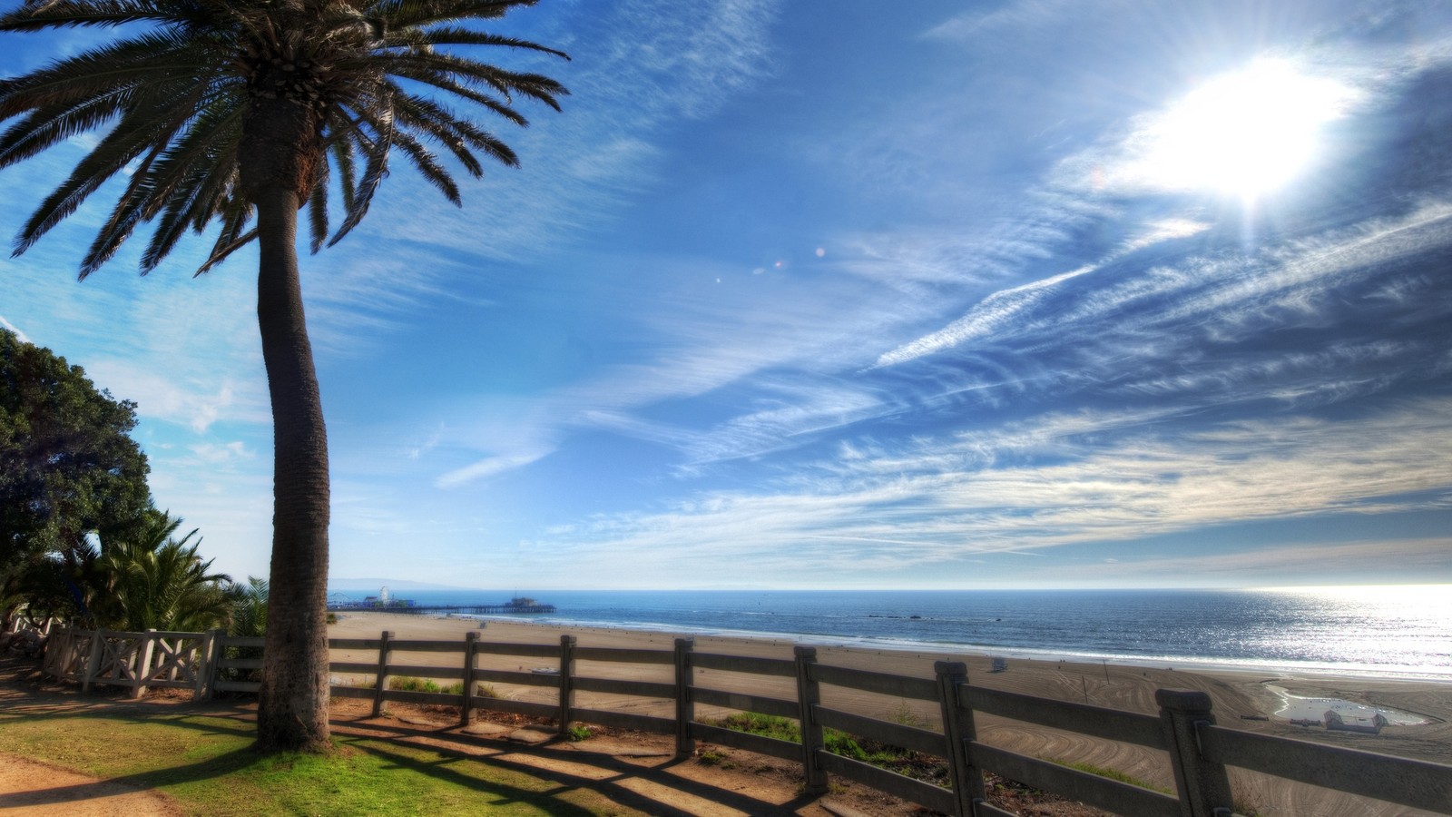 Arafed palm tree on a beach with a fence and ocean in the background (tree, sea, shore, coast, arecales)