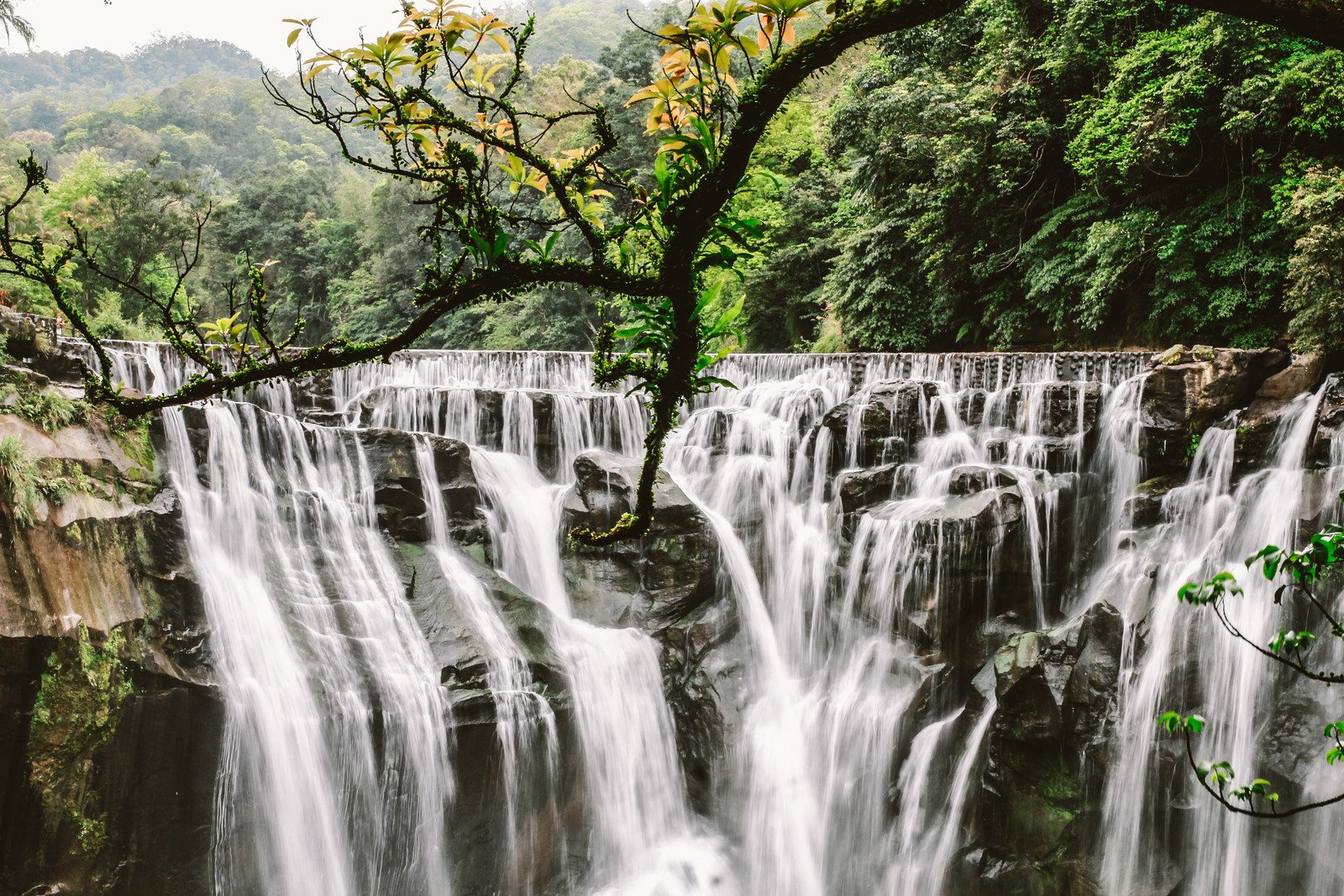 A waterfall in the middle of a forest with a tree in the foreground (waterfall, water resources, body of water, nature, water)