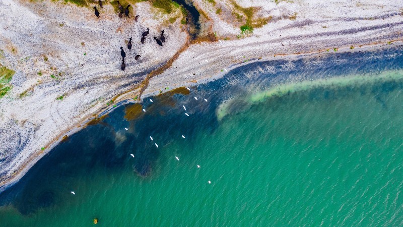 Вид сверху на группу людей на пляже с водоемом (водные ресурсы, вода, лазурный, водоем, природный пейзаж)