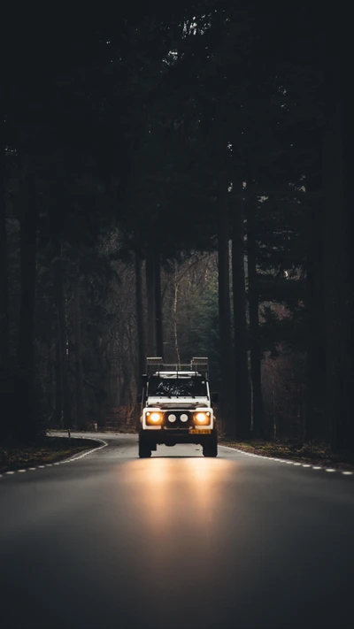 Aventure tout-terrain : Un Jeep éclaire une route forestière sombre