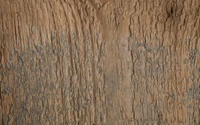 Textured Wood Wall with Natural Grain Patterns