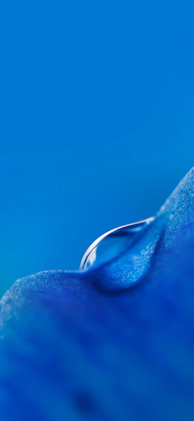 Primer plano de una gota de agua sobre una superficie azul vibrante, mostrando fluidez y colorido.