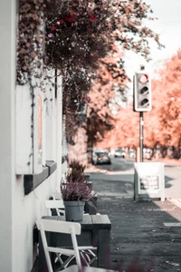 Spring Streetscape with Potted Plants and Traffic Signal