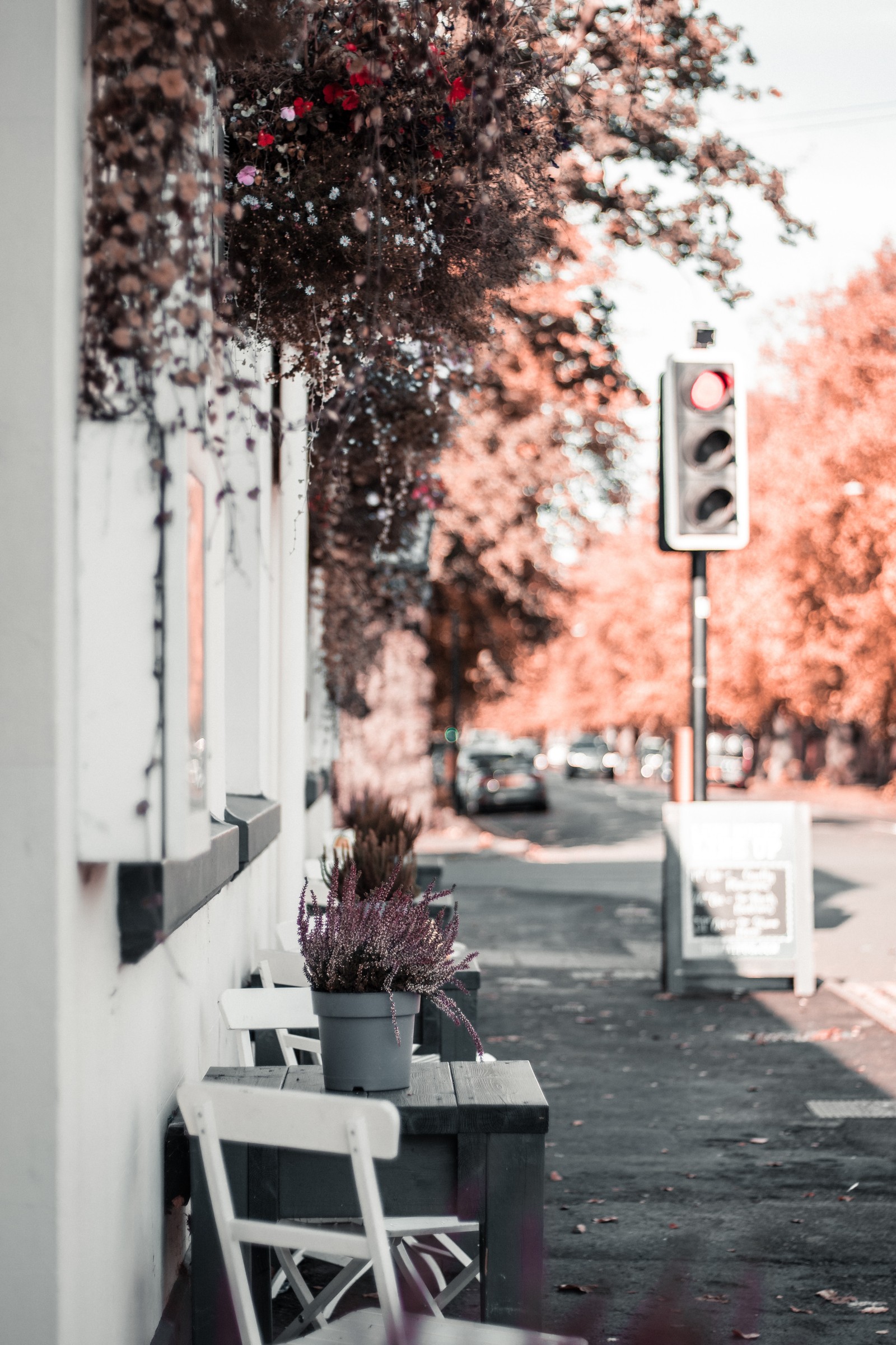 There is a white bench sitting on the side of a street (red, tree, pink, leaf, room)