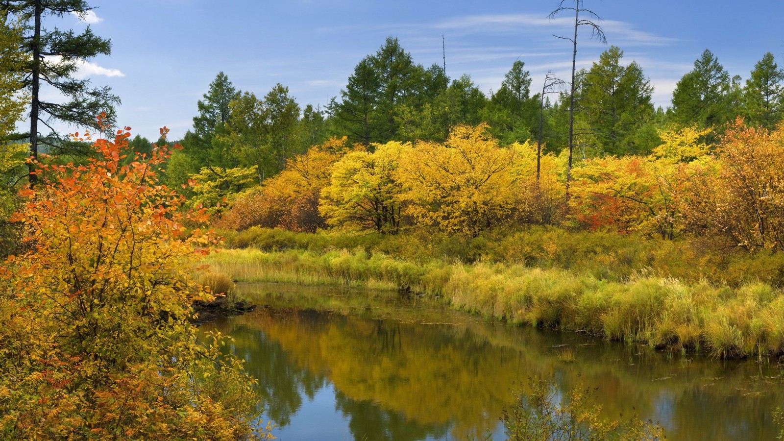 Uma vista de um rio cercado por árvores e grama (flúmen, natureza, reflexo, árvore, vegetação)