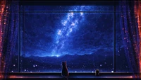 stargazing, cat, starry, stars, night wallpaper