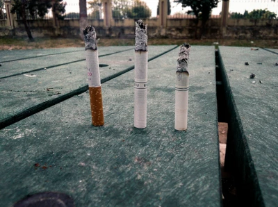 brûlé, cigarette, fumée, fumer