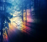 Mystical Forest with Ethereal Light Rays