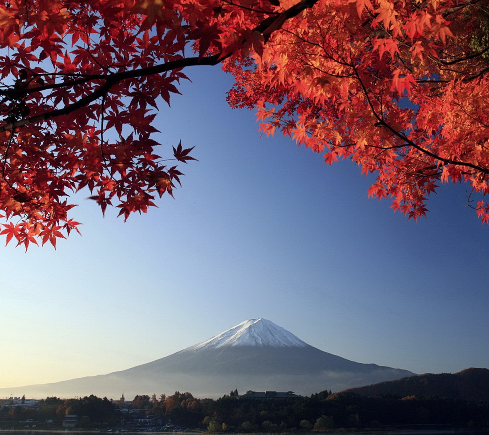 Uma vista panorâmica de uma montanha com um lago e folhas vermelhas (fuji, japão)